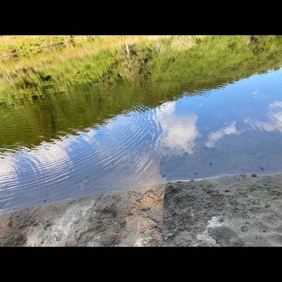 Meet your Posher, Bella - Picture 3 of 7